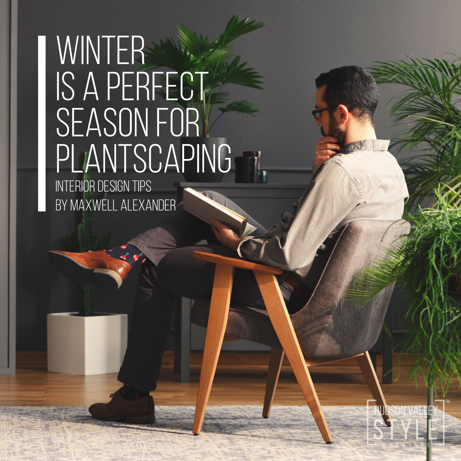 Winter is a great time to make your home come to life - Interior Design and Plantscaping Tips from Maxwell Alexander