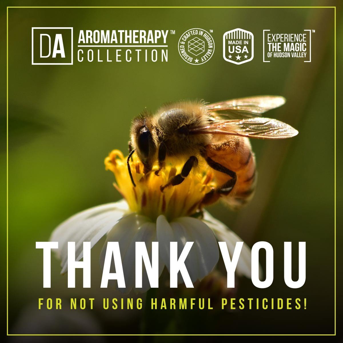 The best natural bug, tick and mosquito repellent you can buy - Bees Thank You for not using harmful pesticides