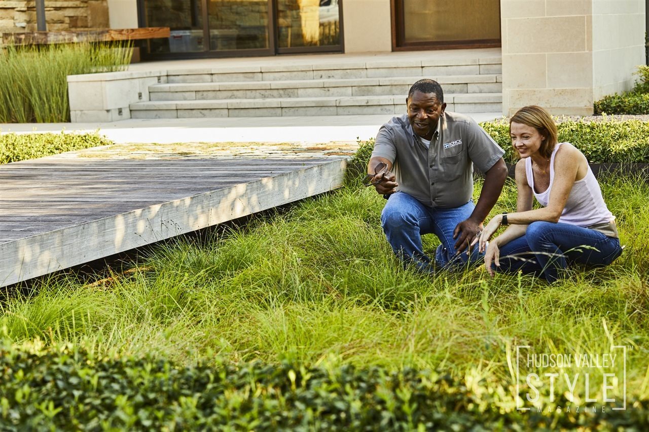 5 signs you need to hire a landscape professional