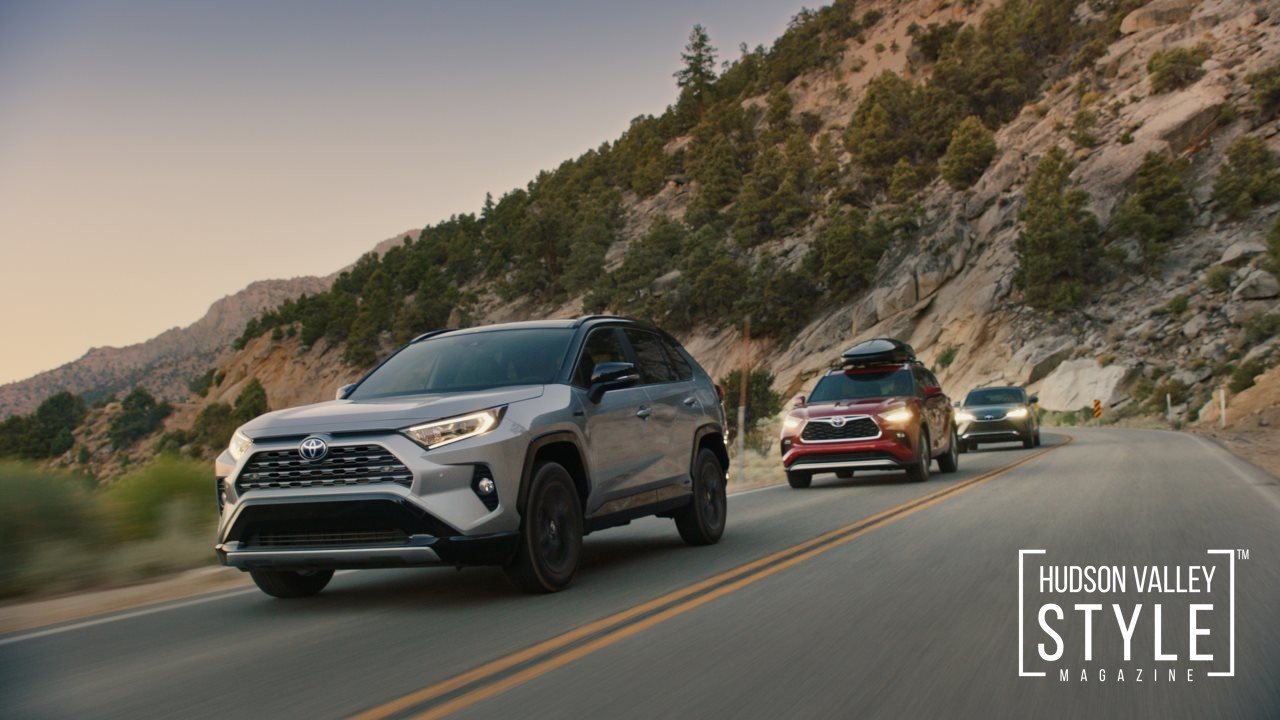 Infographic: Americans are getting back on the road again