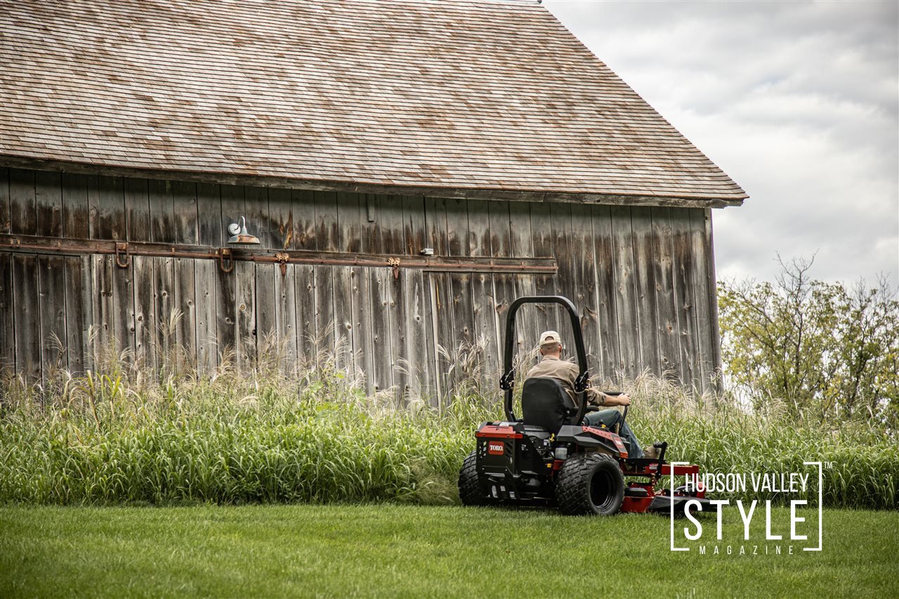 What You Need to Know to Turn an Overgrown Field into a Beautiful Yard in 10 Easy Steps