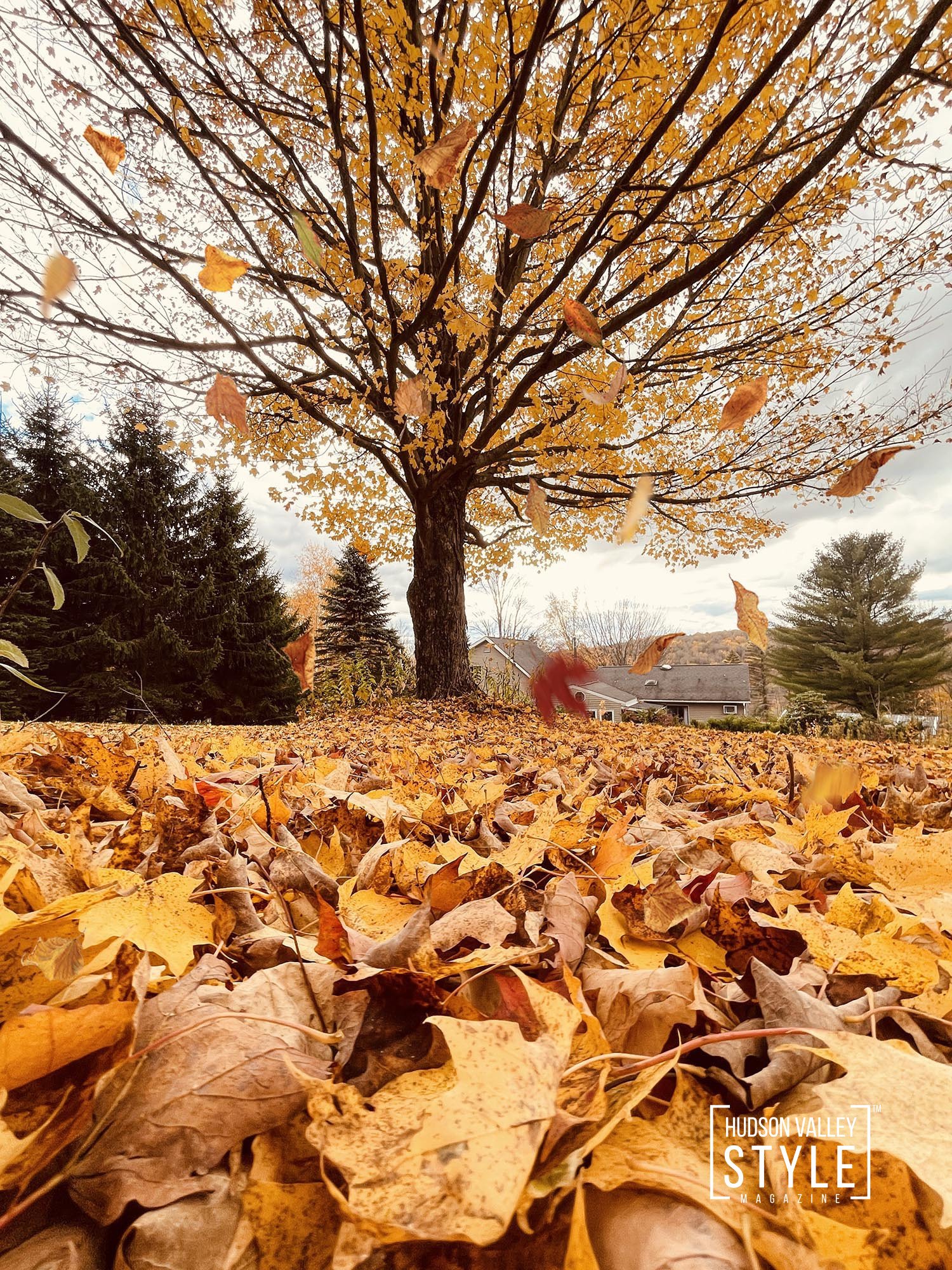 Delight in the Foliage of the Hudson Valley this Fall with Alluvion Vacations
