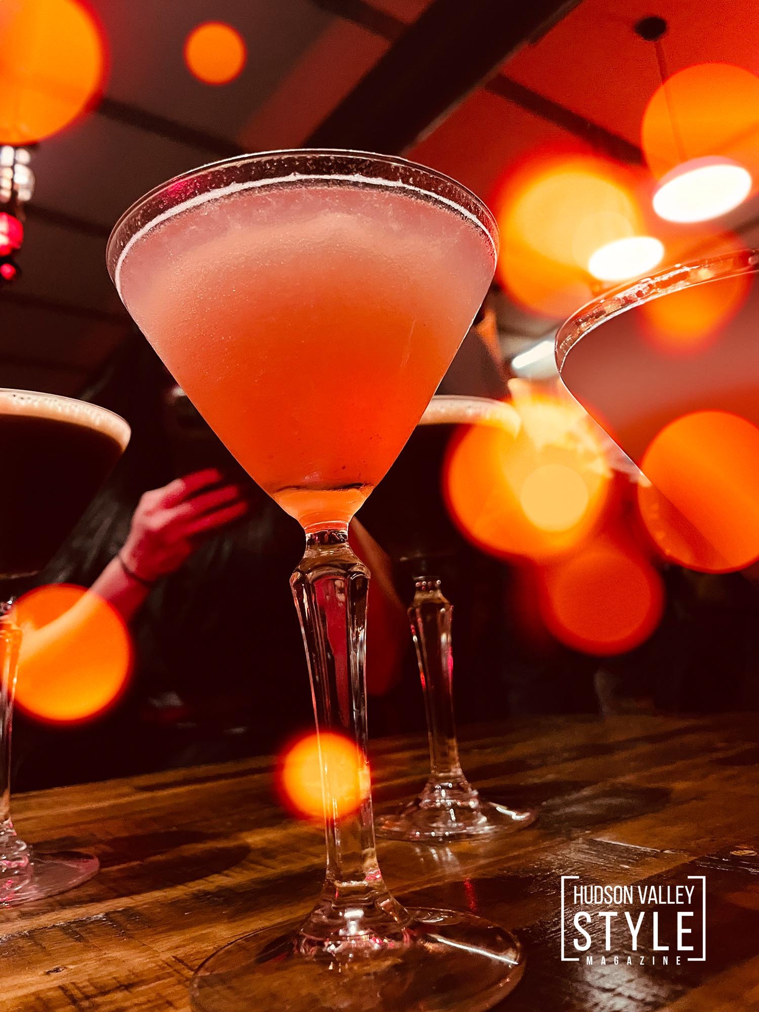 The Vinyl Room in Beacon, NY – Where Food, Music, Dancing, and Nightlife Collide – Hudson Valley Nightlife Reviews with Fitness Model Maxwell Alexander – Presented by Alluvion Vacations